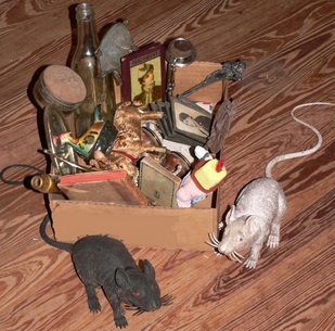 antique minded Pac-Rats